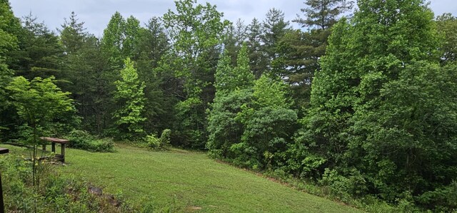 200 Peachtree Ln, Tellico Plains, TN 37385 - photo 17