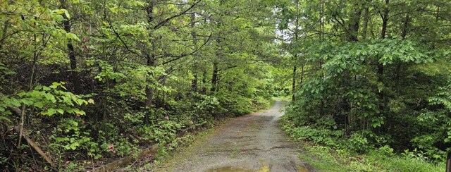 200 Peachtree Ln, Tellico Plains, TN 37385 - photo 16