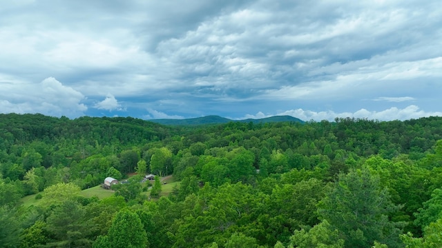 200 Peachtree Ln, Tellico Plains, TN 37385 - photo 3