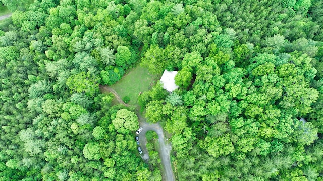 200 Peachtree Ln, Tellico Plains, TN 37385 - photo 4