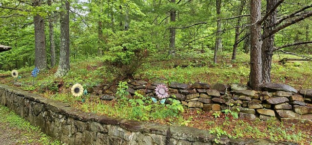 200 Peachtree Ln, Tellico Plains, TN 37385 - photo 13