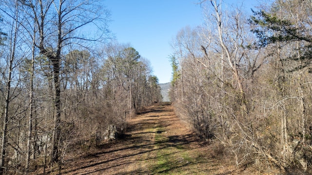 2501 Suck Creek Rd, Chattanooga, TN 37405 - photo 11
