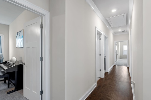 corridor featuring dark hardwood / wood-style floors and ornamental molding