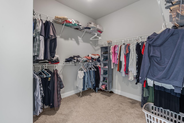 spacious closet featuring carpet floors