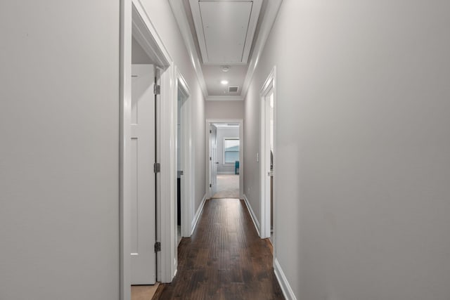 hallway with ornamental molding and dark wood-type flooring