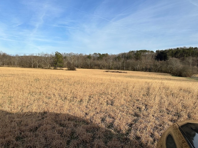 0 Wayne Ln, Evensville TN, 37332 land for sale