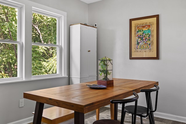 dining area featuring hardwood / wood-style floors