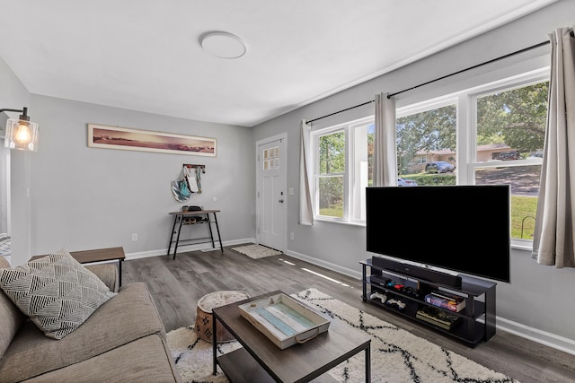 living room featuring wood-type flooring