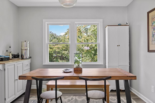 dining area featuring wood-type flooring