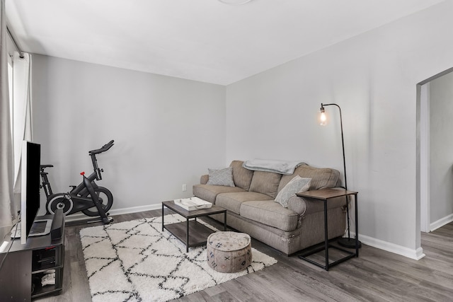 living room featuring hardwood / wood-style flooring