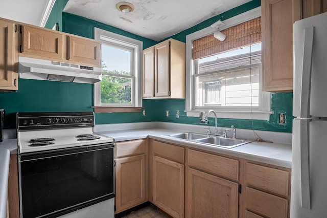 kitchen featuring freestanding refrigerator, plenty of natural light, under cabinet range hood, a sink, and electric stove