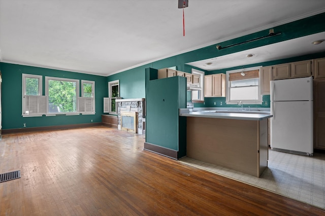 kitchen with freestanding refrigerator, crown molding, plenty of natural light, and light wood-style floors