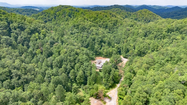 700 Damewood Hollow Rd, Luttrell, TN 37779 - photo 10