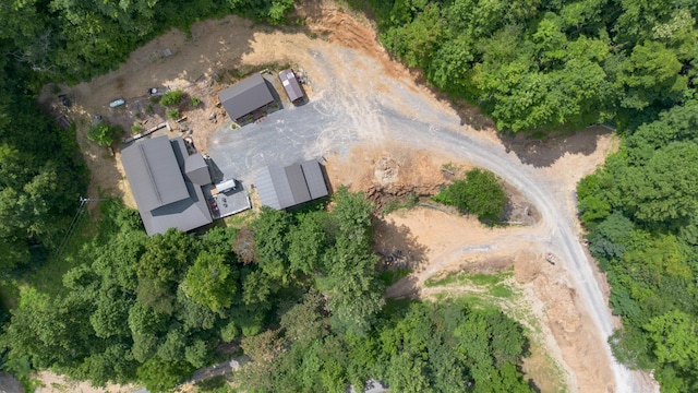 700 Damewood Hollow Rd, Luttrell, TN 37779 - photo 12