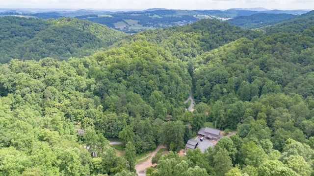 700 Damewood Hollow Rd, Luttrell, TN 37779 - photo 7