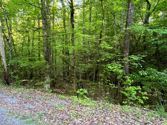 336-342 Omega Dr, Spring City, TN 37381 - photo 4