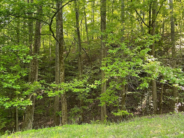 336-342 Omega Dr, Spring City, TN 37381 - photo 1