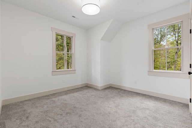 bonus room featuring carpet flooring and a healthy amount of sunlight