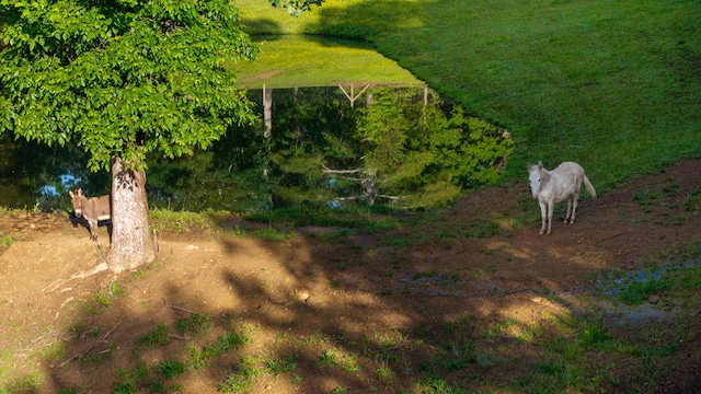 310 Moore Circle Rd, Charleston, TN 37310 - bird's eye view