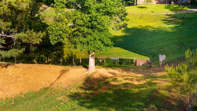 310 Moore Circle Rd, Charleston, TN 37310 - view of yard with fence