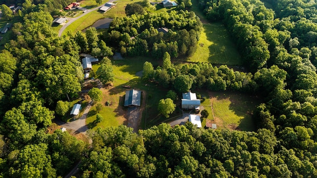 310 Moore Circle Rd, Charleston, TN 37310 - view of property location