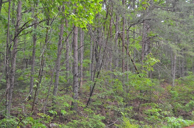 8805 Terrace Falls Dr, Soddy-Daisy, TN 37379 - photo 6