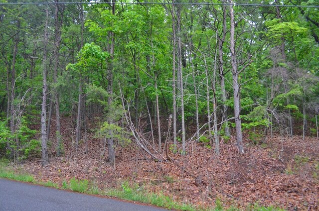 8805 Terrace Falls Dr, Soddy-Daisy, TN 37379 - photo 3