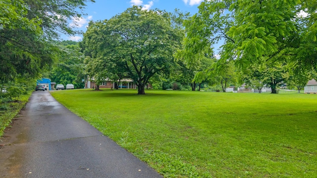 188 County Road 577, Englewood, TN 37329 - photo 44