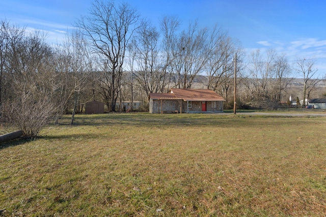 view of yard with a shed