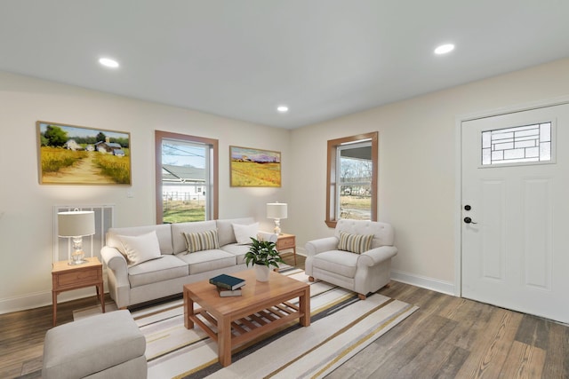 living room featuring dark wood-type flooring