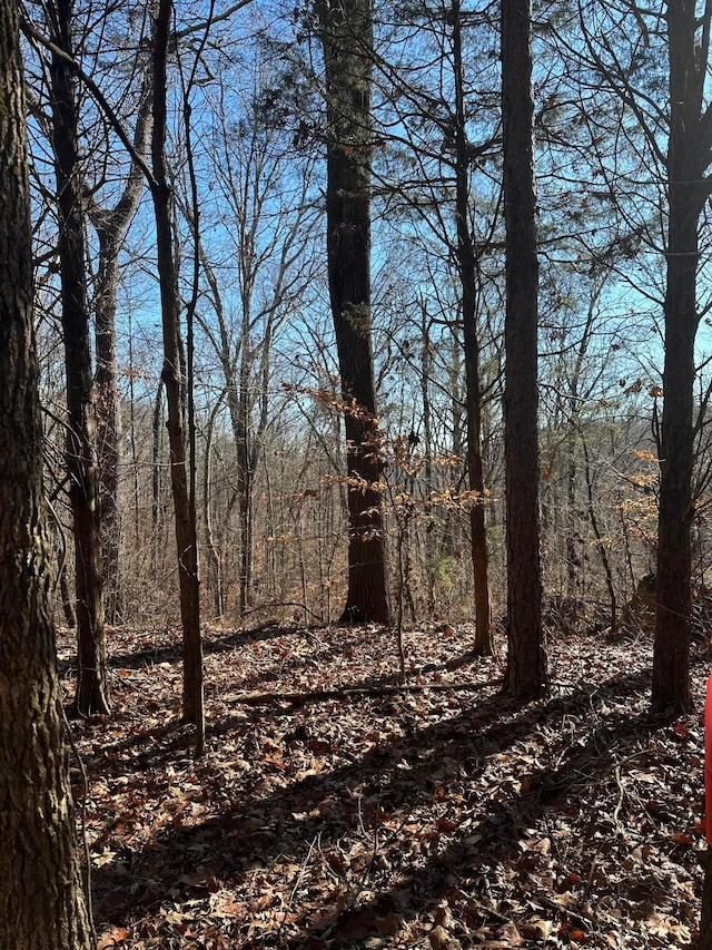 Listing photo 3 for LOT2 Lower River Rd NW, Charleston TN 37310