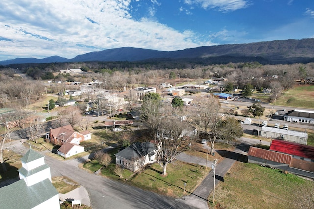 birds eye view of property featuring a mountain view