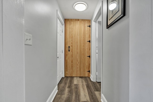 hall featuring dark wood-type flooring