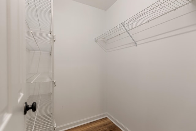 spacious closet with hardwood / wood-style floors