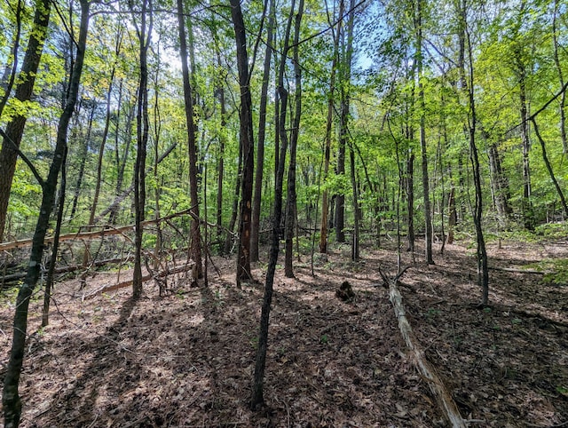 5694 Ladd Springs Rd, Old Fort, TN 37362 - photo 12