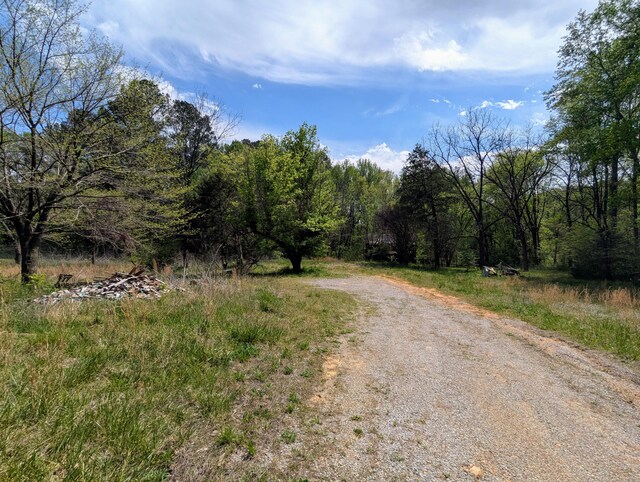 5694 Ladd Springs Rd, Old Fort, TN 37362 - photo 16