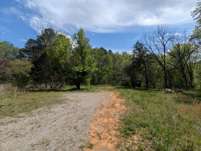 5694 Ladd Springs Rd, Old Fort, TN 37362 - photo 15
