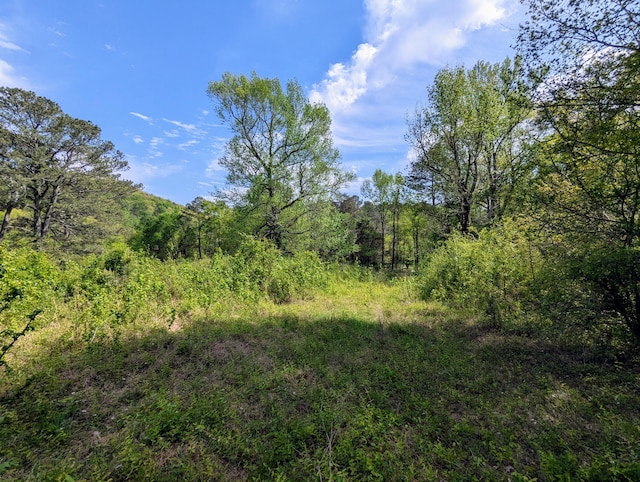 5694 Ladd Springs Rd, Old Fort, TN 37362 - photo 11