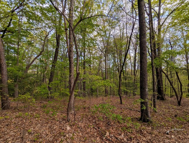 5694 Ladd Springs Rd, Old Fort, TN 37362 - photo 5
