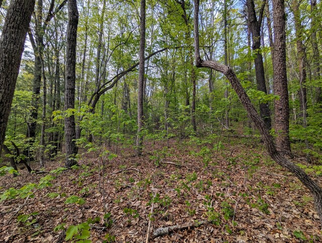 5694 Ladd Springs Rd, Old Fort, TN 37362 - photo 6