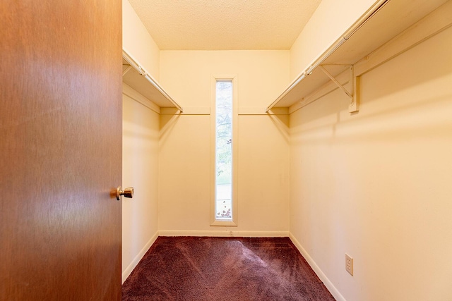604 Augusta National Way, Knoxville, TN 37934 - walk in closet with carpet flooring