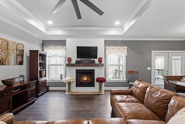 living room featuring a large fireplace, crown molding, dark hardwood / wood-style flooring, and a raised ceiling