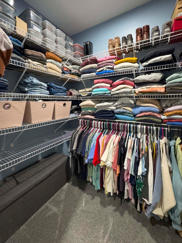 spacious closet featuring carpet flooring