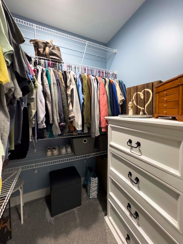 walk in closet with carpet flooring