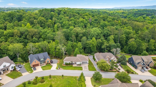 7367 Sweet Magnolia Ln, Harrison, TN 37341 - photo 36