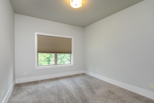 7367 Sweet Magnolia Ln, Harrison, TN 37341 - photo 39