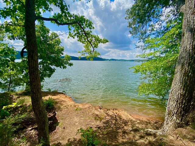 7367 Sweet Magnolia Ln, Harrison, TN 37341 - photo 45
