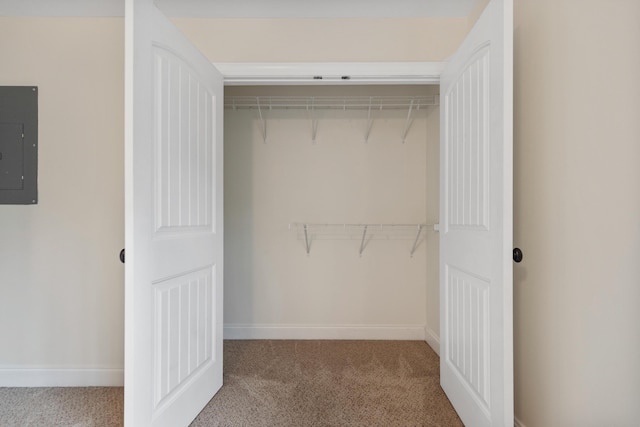 closet featuring electric panel