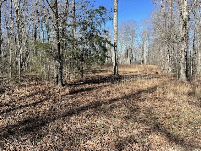 0 Fern Hill Rd, Pikeville TN, 37367 land for sale