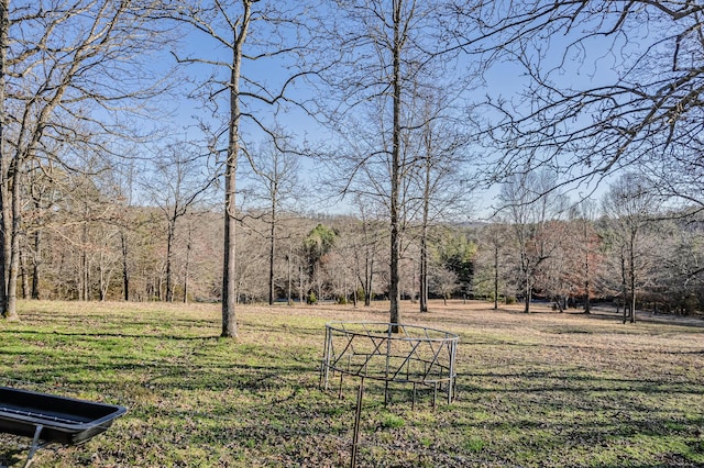 view of yard with a wooded view